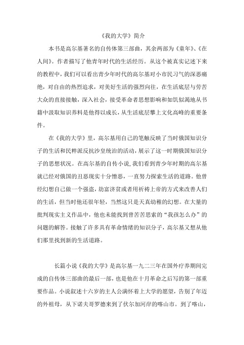 《我的大学》简介