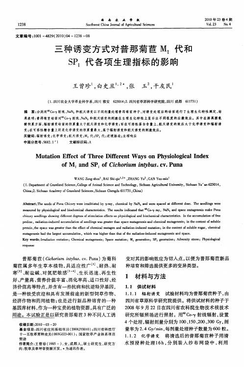 三种诱变方式对普那菊苣M1代和SP1代各项生理指标的影响