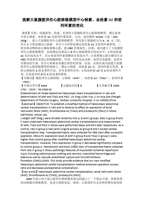 观察大鼠腹腔异位心脏移植模型中心钠素、血栓素A2和前列环素的变化35