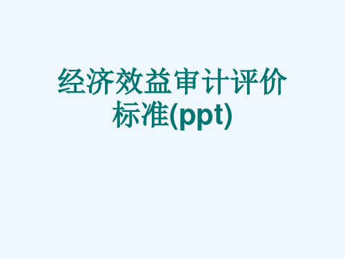 经济效益审计评价标准(ppt)