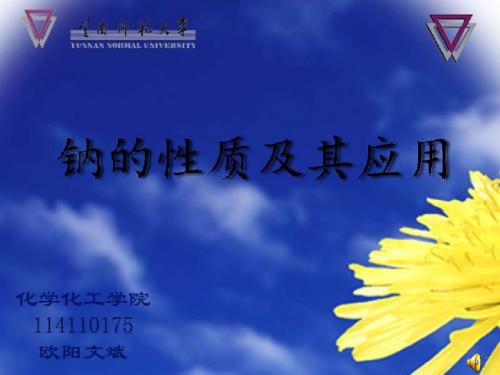 钠的性质及其应用