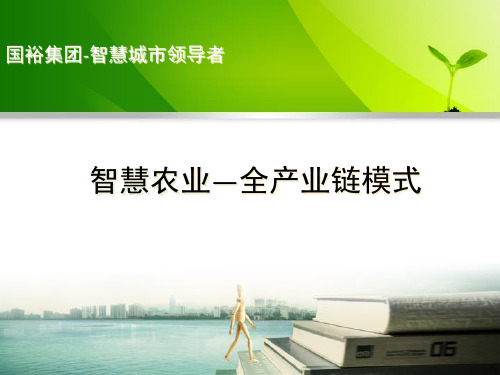 全产业链运营模式V1.2