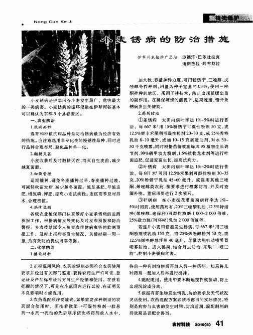 小麦锈病的防治措施