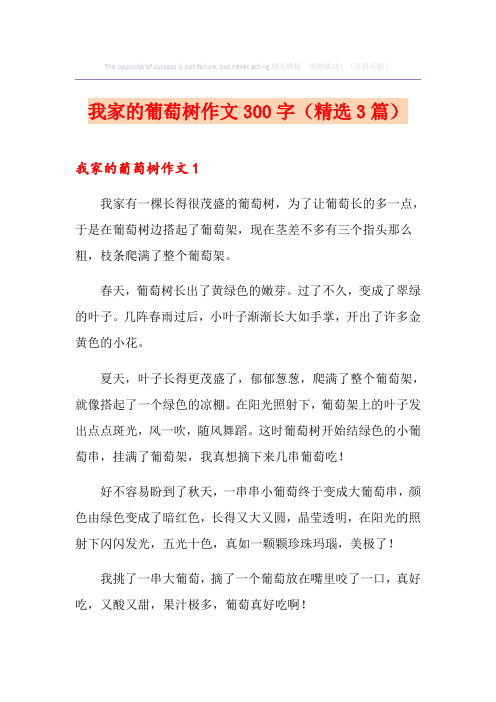 我家的葡萄树作文300字(精选3篇)