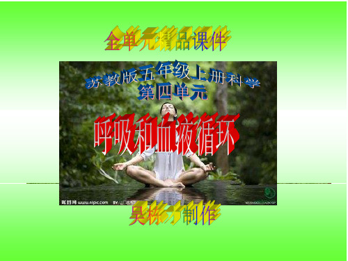 苏教版五年级上册科学第四单元《呼吸和血液循环》全单元精品课件
