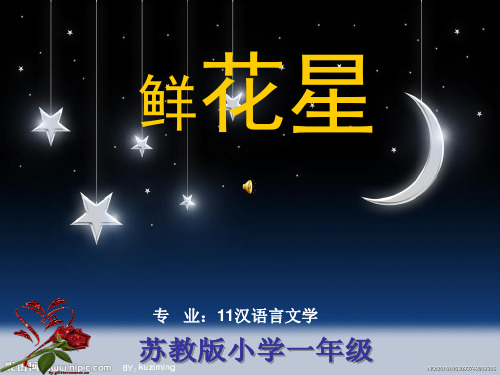 一年级语文下册《鲜花和星星》精品PPT课件