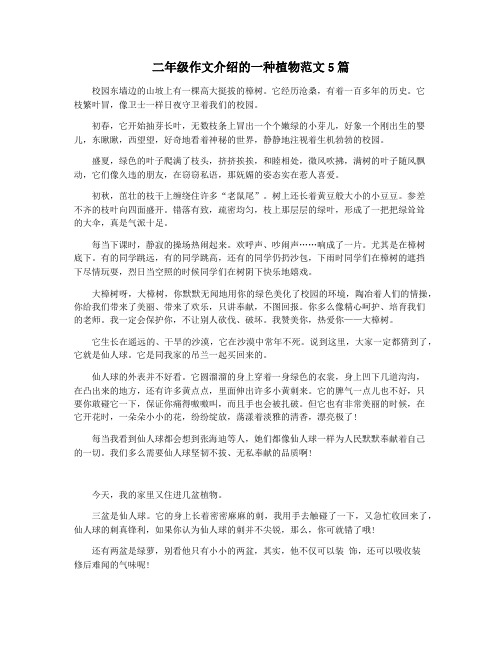 二年级作文介绍的一种植物范文5篇