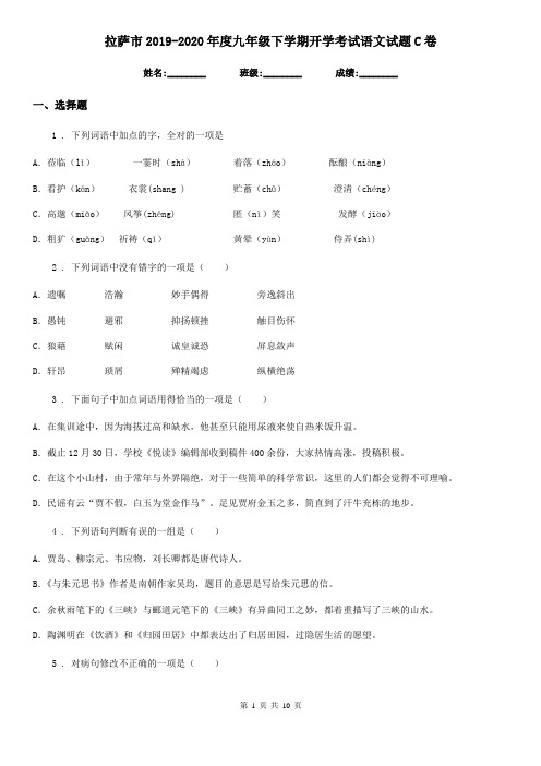 拉萨市2019-2020年度九年级下学期开学考试语文试题C卷