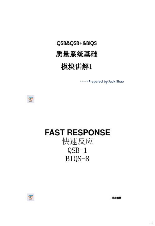 BIQS分模块1