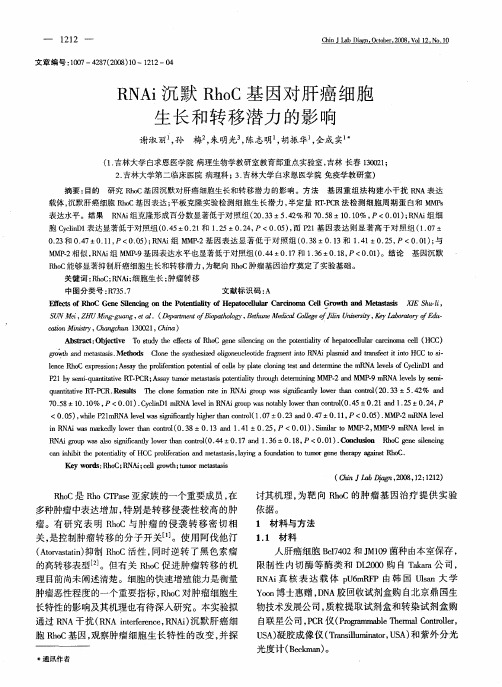 RNAi沉默RhoC基因对肝癌细胞生长和转移潜力的影响
