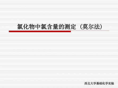 西北大学基础化学实验(精)