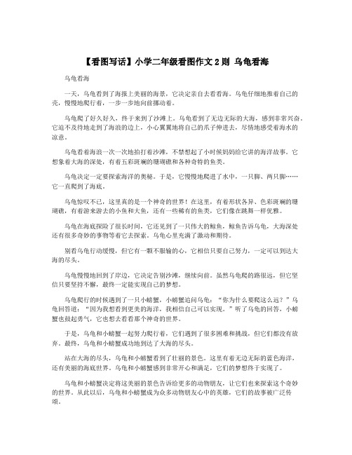 【看图写话】小学二年级看图作文2则 乌龟看海