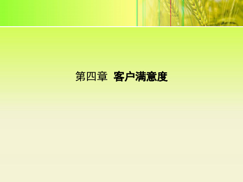 客户满意度概述.ppt