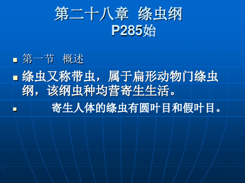 网教内容三2节绦虫