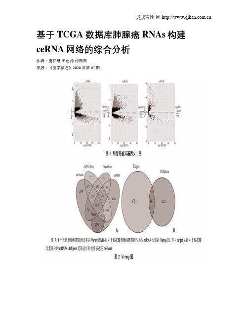 基于TCGA数据库肺腺癌RNAs构建ceRNA网络的综合分析