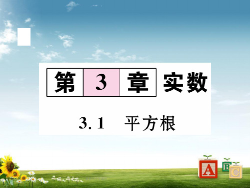 七年级数学上册 3.1 平方根课件 (新版)浙教版.精品