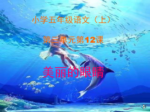 (精选)五年级语文上册 第三单元 美丽的眼睛课件2 西师大版