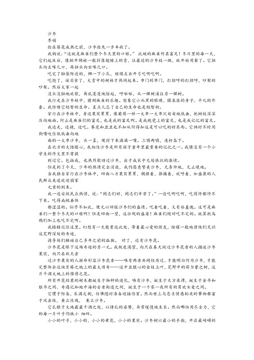 《沙枣》阅读训练及答案解析