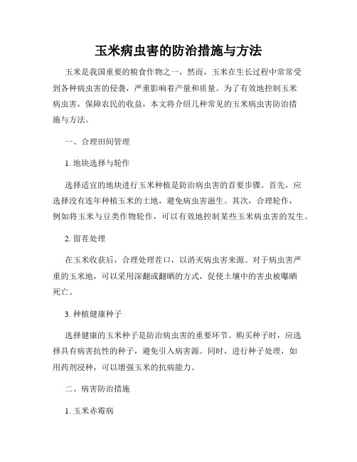 玉米病虫害的防治措施与方法