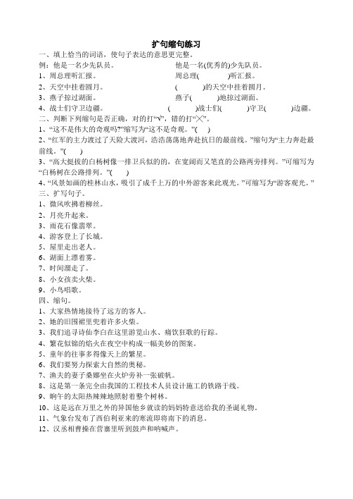 扩句缩句修改病句练习答案
