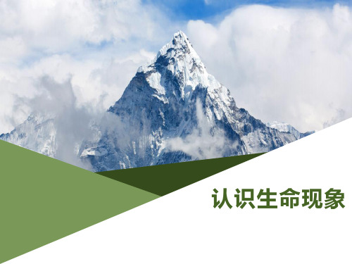 第一单元第1章认识生命现象-山东省宁津县育新中学济南版七年级生物上册课件(共48张PPT)