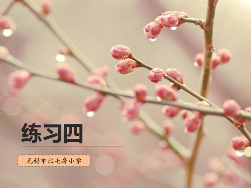 苏教版小学语文四年级下册练习四精品PPT课件
