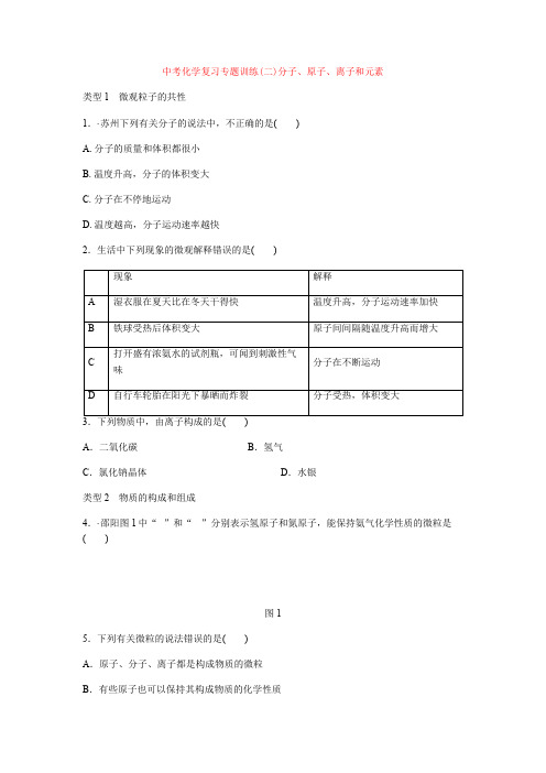 中考化学复习专题训练(二)分子、原子、离子和元素