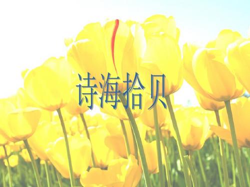 《诗海拾贝》