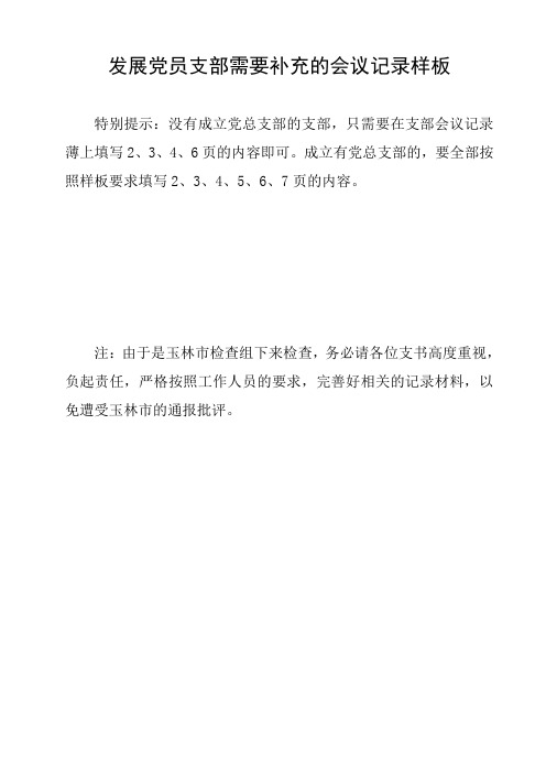 发展党员支部会议记录本样板