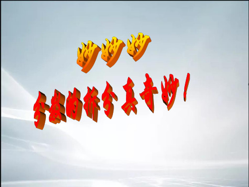 分数拆分(公开课)(最新整理).ppt