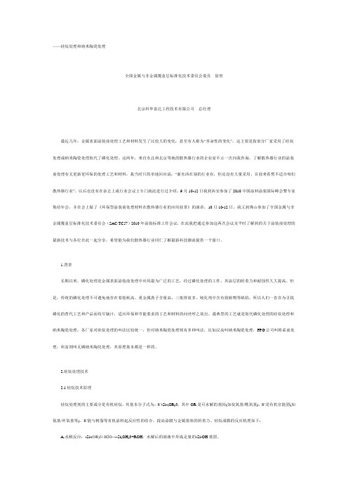 硅烷处理和纳米陶瓷处理.doc