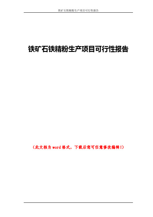 铁矿石铁精粉生产项目可行性报告