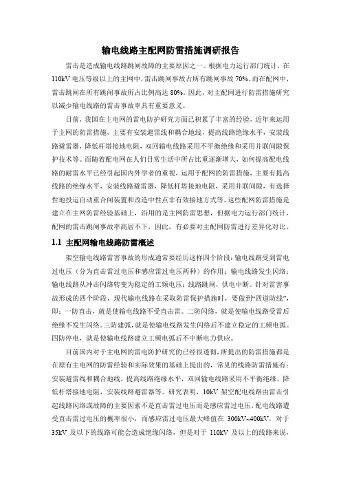 输电线路主配网防雷措施调研报告