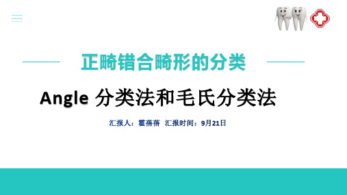 错合畸形分类