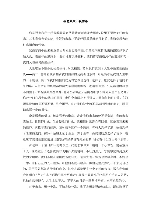 我的未来,我的路