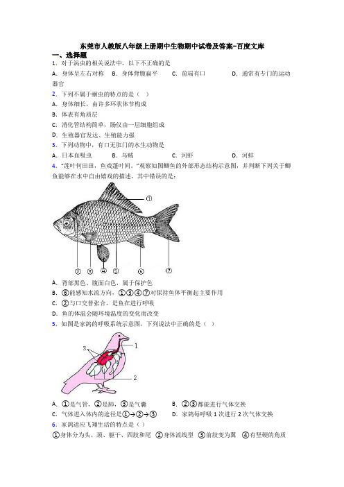 东莞市人教版八年级上册期中生物期中试卷及答案-百度文库