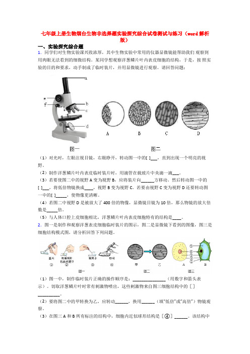 七年级上册生物烟台生物非选择题实验探究综合试卷测试与练习(word解析版)