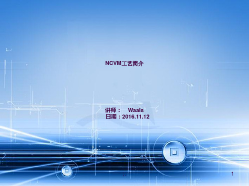 NCVM工艺简介ppt课件