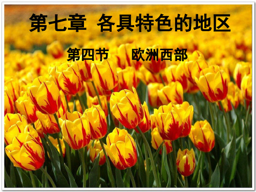第四节  欧洲西部