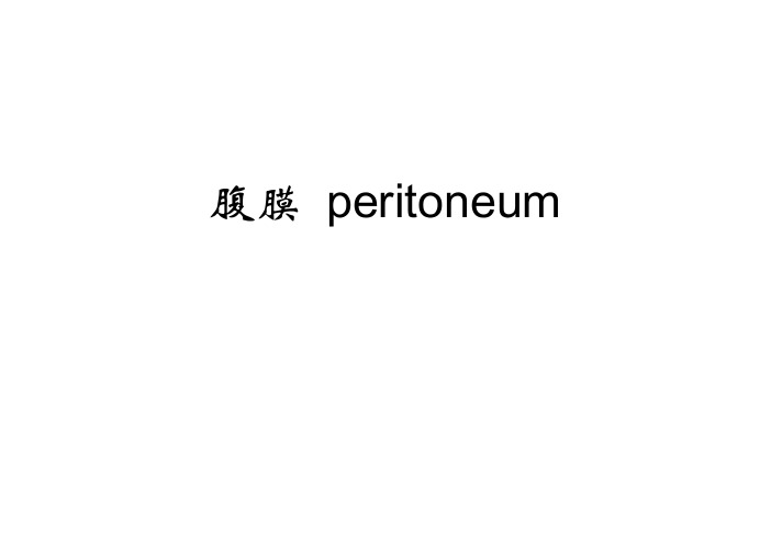 10.腹膜系统解剖学