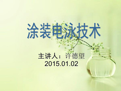 涂装电泳技术讲解