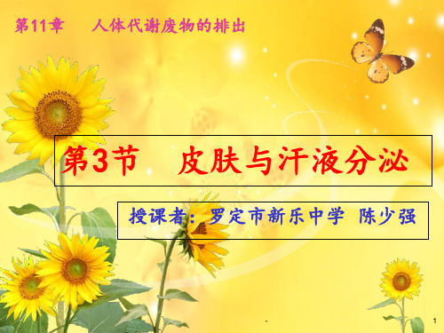 第节皮肤与汗液分泌ppt课件
