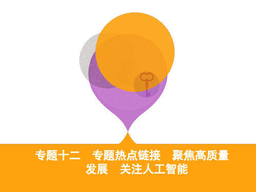 2020届一轮复习人教A版高考政治课件：专题十二 专题热点链接课件(28张)