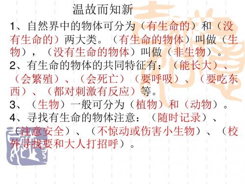 三年级上册科学课件-2《校园里的植物》苏教版