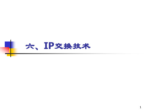 第八章.IP交换技术