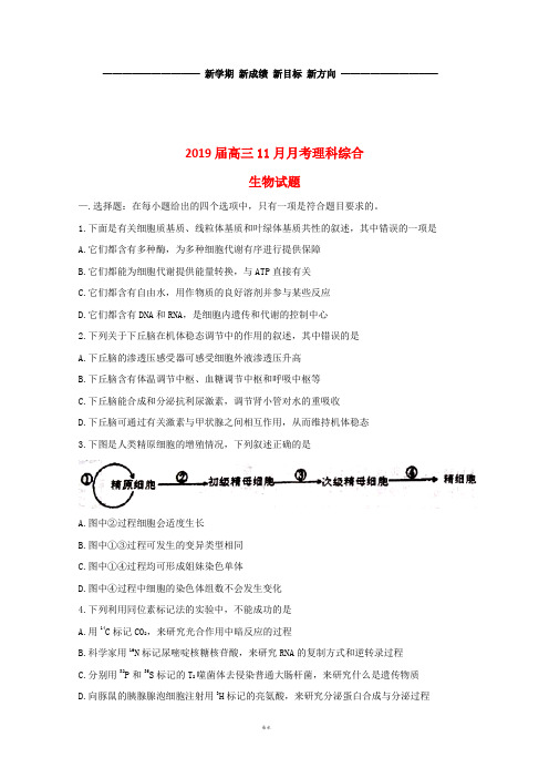 高三生物11月月考试题新版 新人教版