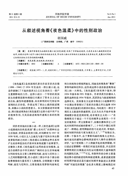 从叙述视角看《夜色温柔》中的性别政治