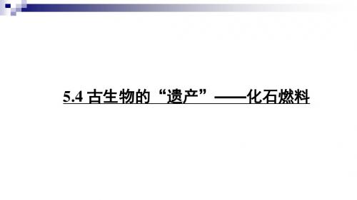 科粤版 九年级化学上册第五章 燃料5.4 古生物的“遗产”——化石燃料(17张PPT) (共17张PPT)