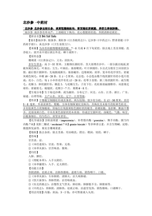 北沙参