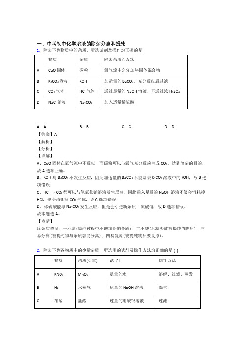 中考化学(溶液的除杂分离和提纯提高练习题)压轴题训练及答案解析